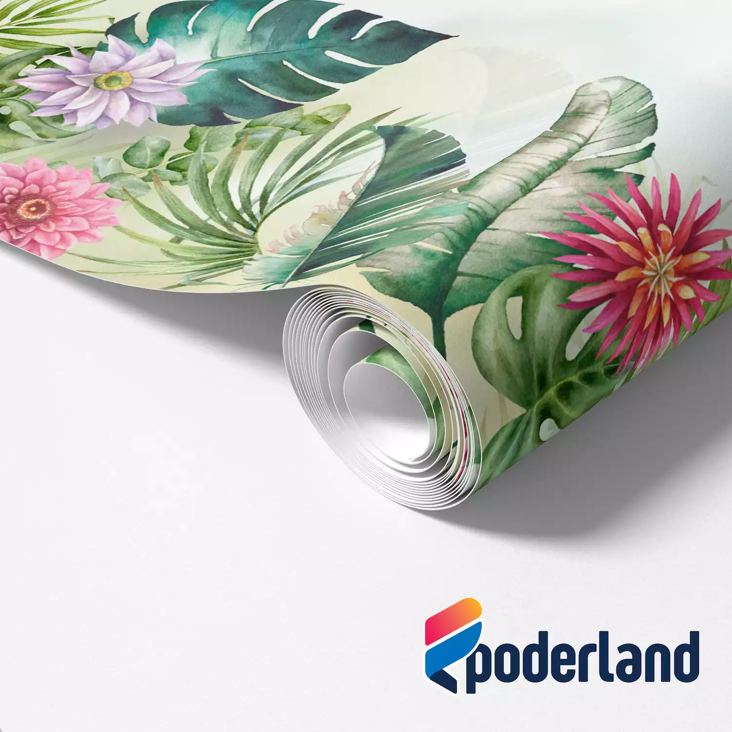 Wallpapers & Murals 